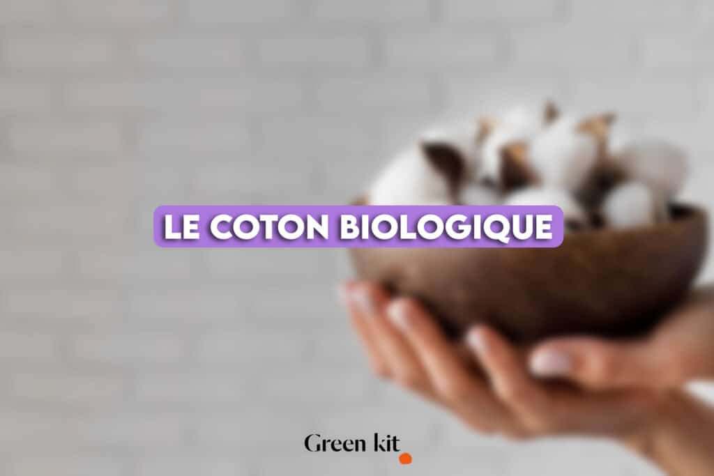 image article - Le coton biologique