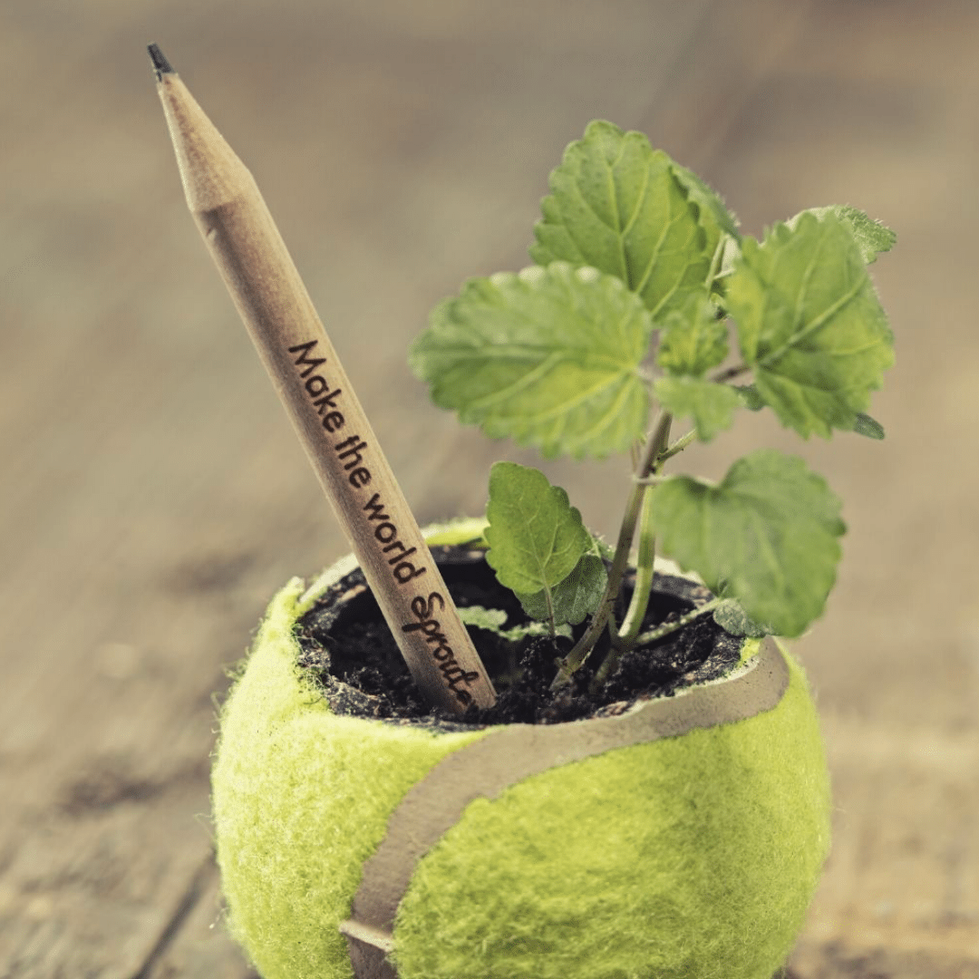 Goodies éco-responsable durable, crayon à planter