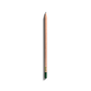 Crayon à planter personnalisé : écrivez, plantez, cultivez