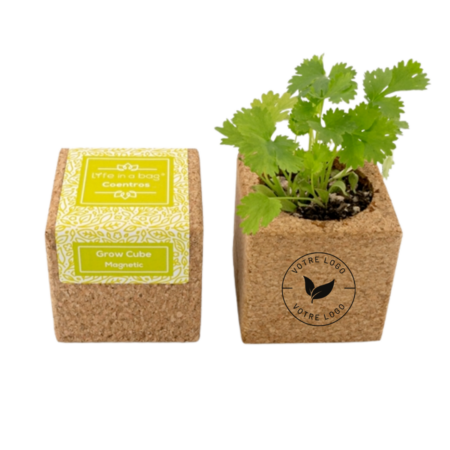 Une petite plante dans un pot en liège, parfaite comme Plante aromatique avec aimant pour frigo ou aimant de réfrigérateur.