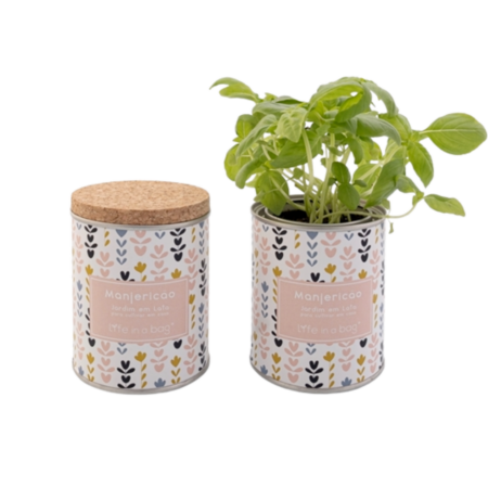 Jardin en boite moderne upcyclé personnalisable