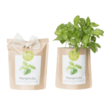 Deux Le Grow Bags personnalisables de plants de basilic dans un sac en papier marron.