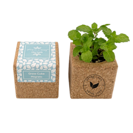Plante aromatique avec aimant pour frigo, parfaite à fixer au réfrigérateur avec l'aimant pour frigo. Cette plante aromatique est le complément parfait à toute cuisine ou espace de jardin.