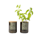 Deux sacs Le Grow personnalisables avec un plant de basilic dedans.