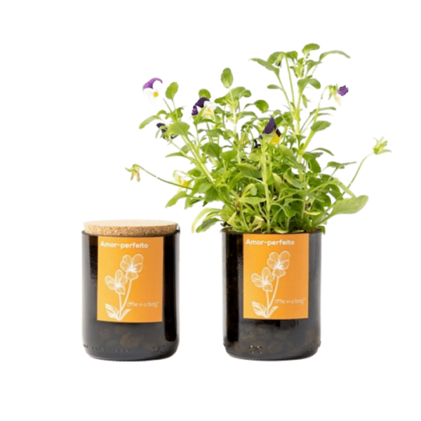 Deux pots noirs contenant des mots-clés SEO et des plantes personnalisables Le Grow Bag.