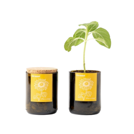 Jardin en bouteille upcyclée personnalisable – vue 2