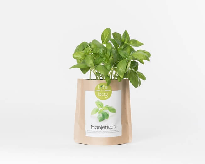 Grow Bag écologique