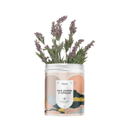Kit de Graines à Planter - Design