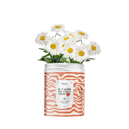 Kit de Graines à Planter - Design – vue 2