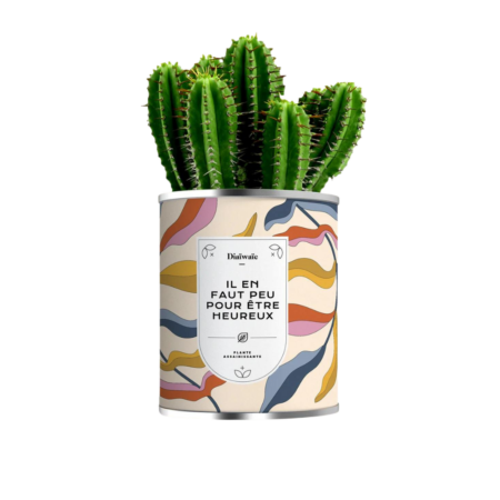 Plante d'Intérieur Déjà Poussée - Design – vue 2