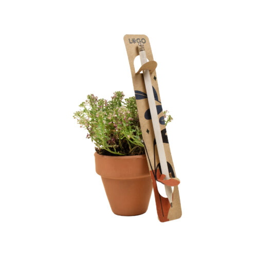 Crayon à planter – vue 2
