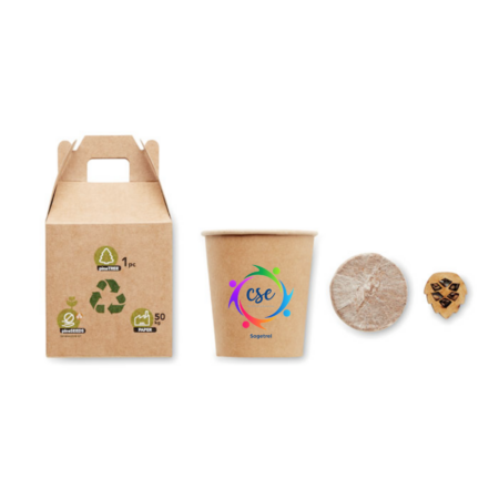 Kit de graines de pin à planter DIY personnalisable – vue 2