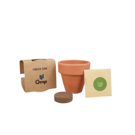 Mini kit plante à faire pousser - Pot en argile