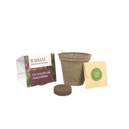 Mini kit plante à faire pousser - Pot en fibre de coco – vue 2