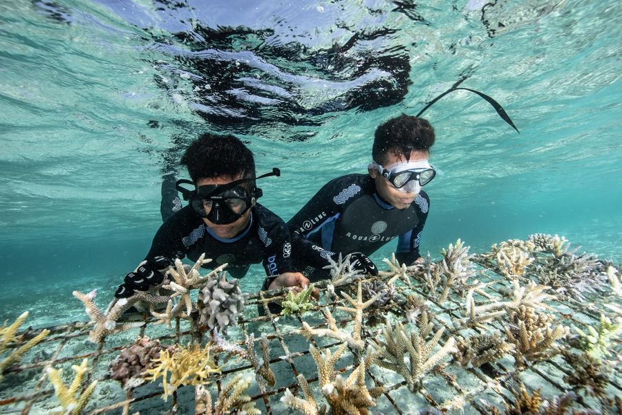 Deux personnes portent le Bracelet Manifesto Océans en bois personnalisable et français, plongeant en apnée près des récifs coralliens, admirant la vie marine vibrante et les formations coralliennes colorées.