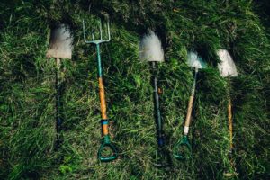 différents outils de jardinage posé sur l'herbe