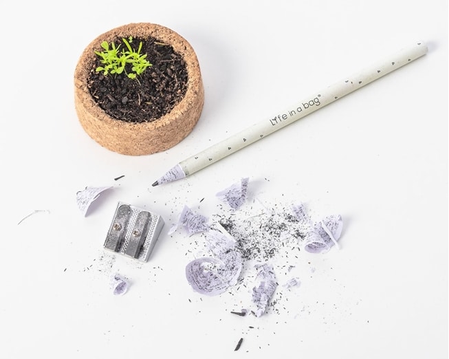 crayon à pousser avec plante