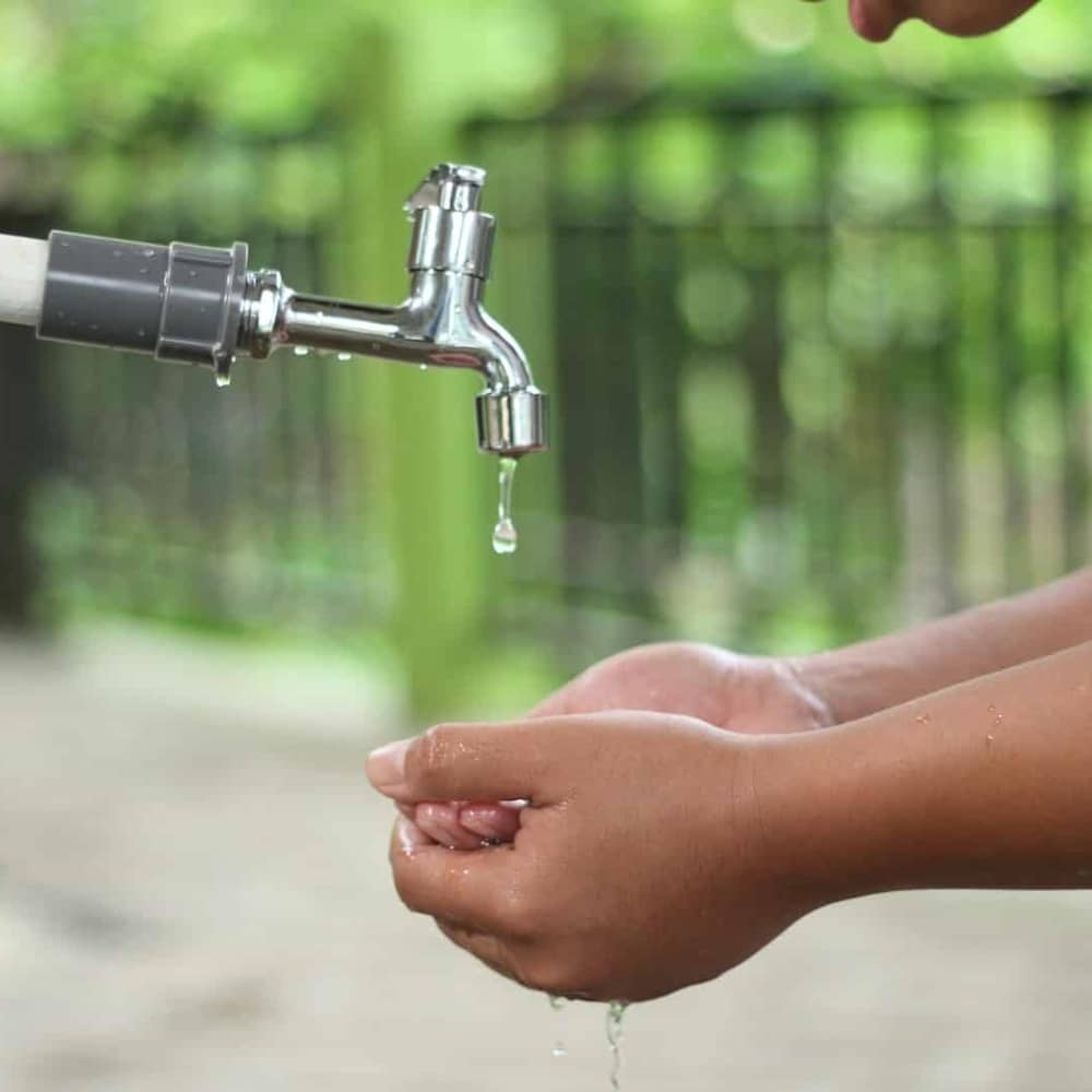 La main d'une personne est lavée avec l'eau d'un robinet avec le Petit Savon de Marseille Olive.