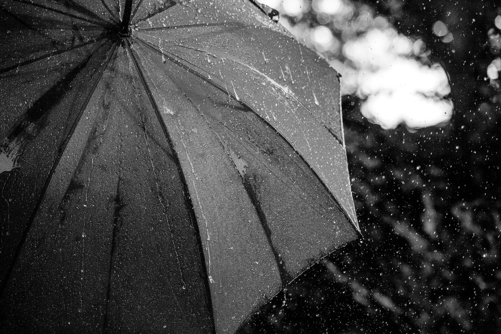 parapluie mouillé