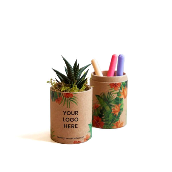 Cactus en Tube