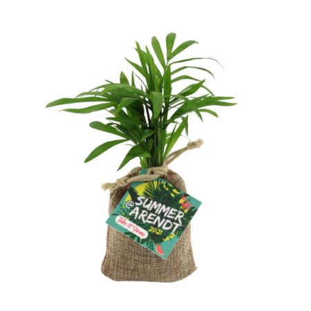 Mini Plan d'arbre en Pochon avec carte personnalisée – vue 2