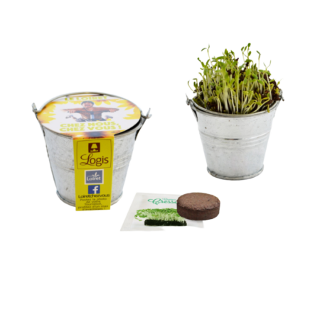 Kit de Plantation Pot en Zinc avec fourreau personnalisé – vue 2