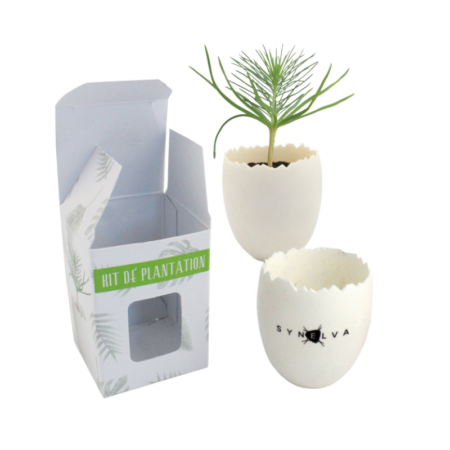 Kit oeuf avec pot personnalisé