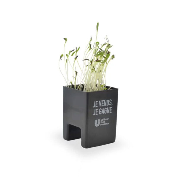 Kit de plantation pour le bureau
