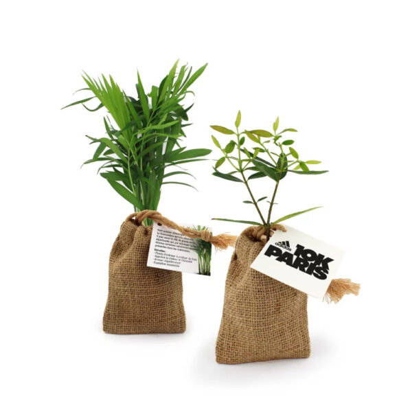 Pochon en toile contenant un petit plant d’arbre