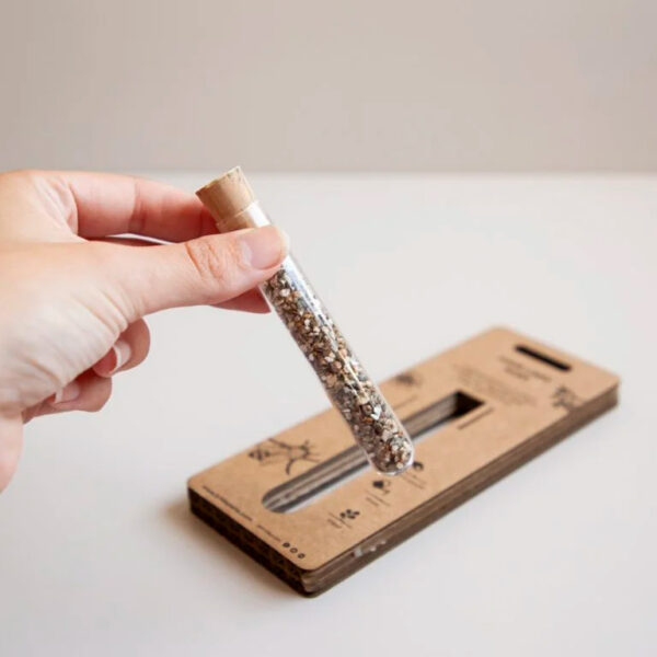 Fiole de graines à semer avec blister en carton kraft