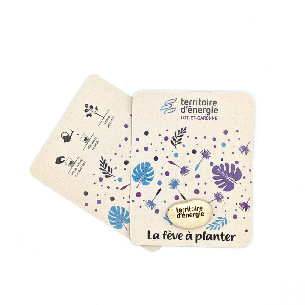 Fève de haricot à planter, personnalisable avec une gravure laser et un blister en carton kraft ou blanc