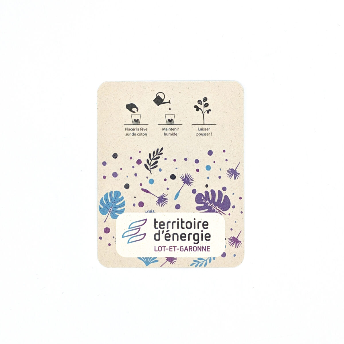 Fève de haricot à planter, personnalisable avec une gravure laser et un blister en carton kraft ou blanc