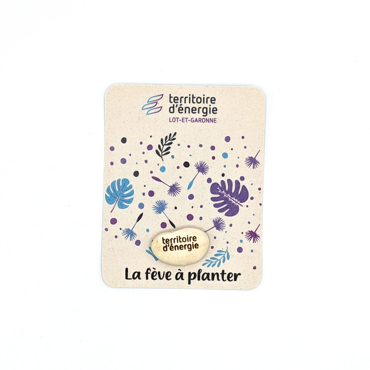 Fève de haricot à planter, personnalisable avec une gravure laser et un blister en carton kraft ou blanc