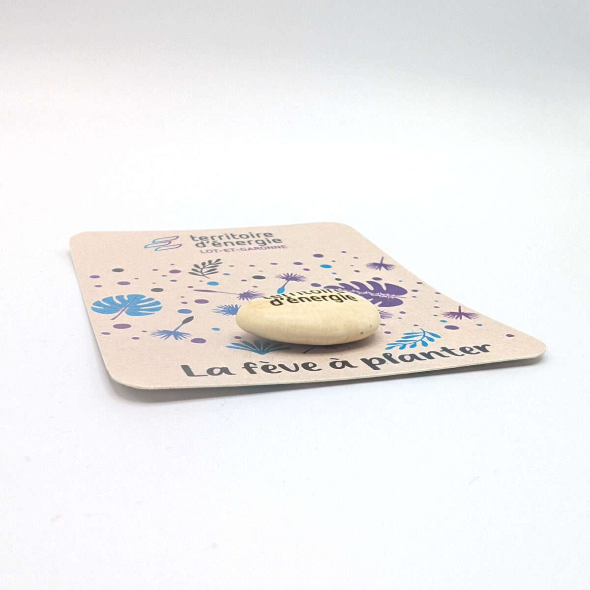 Fève de haricot à planter, personnalisable avec une gravure laser et un blister en carton kraft ou blanc