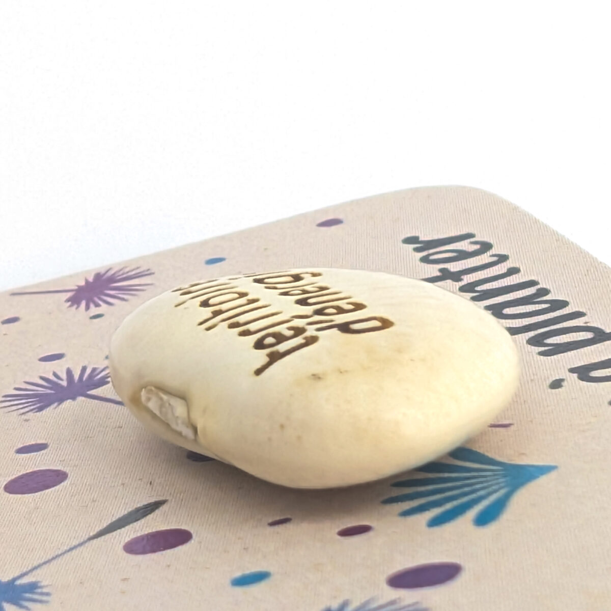 Fève de haricot à planter, personnalisable avec une gravure laser et un blister en carton kraft ou blanc