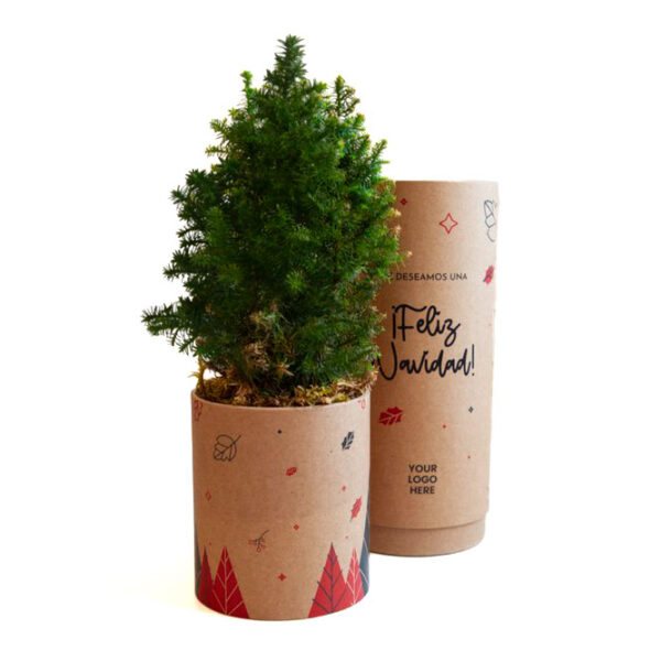 Arbre en Tube - À faire pousser