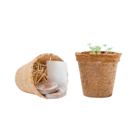 Kit de Plantation - Pot Biodégradable