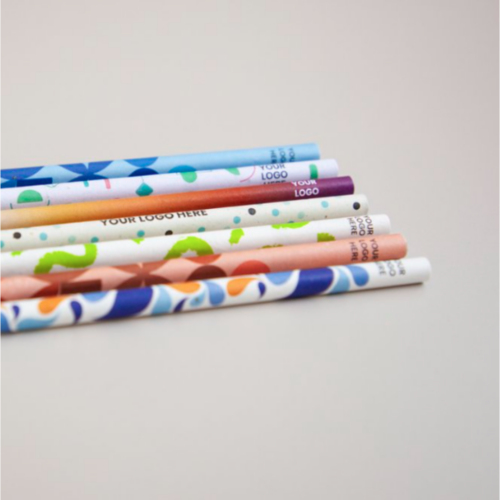 Crayon Végétal à Planter – vue 2