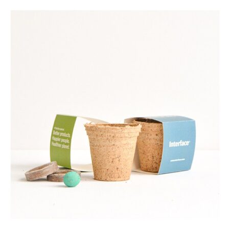 Kit de Plantation - Pot Biodégradable – vue 2