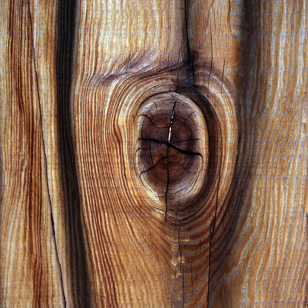 wood knot