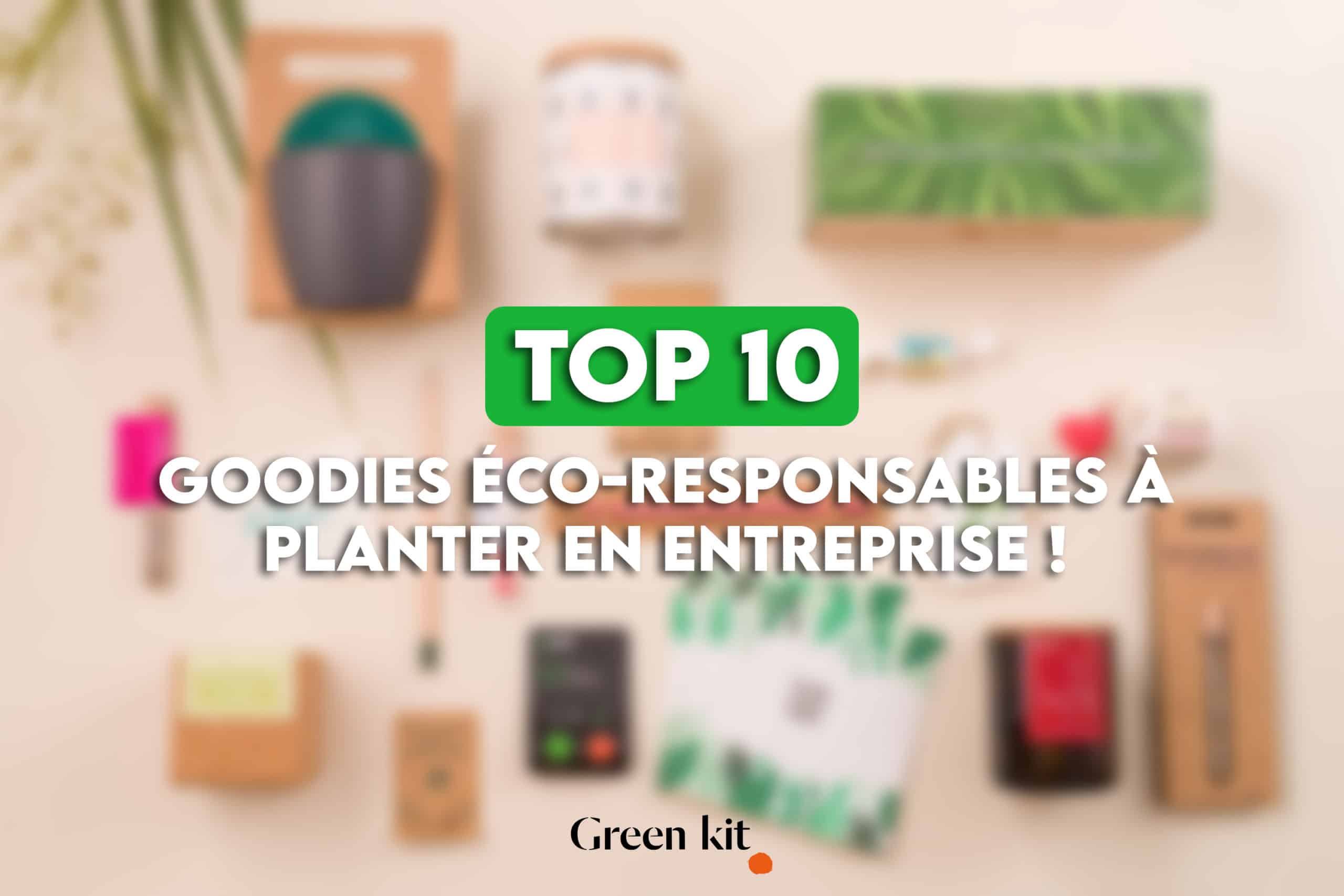 Les 10 meilleurs goodies éco-responsables à planteur en entreprise.