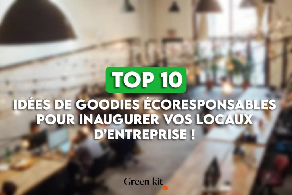 Top 10 idées de goodies écoresponsables pour l'influenceur local.