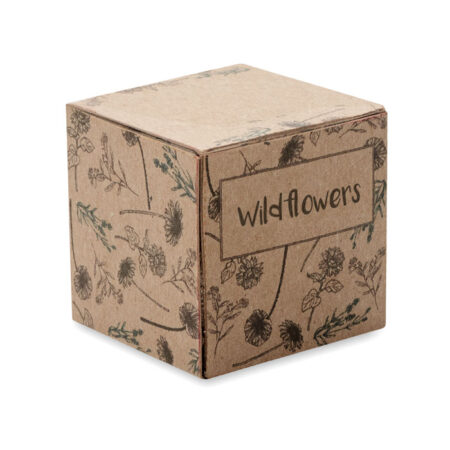 Kit de Culture de Graines - Fleurs Sauvages – vue 2