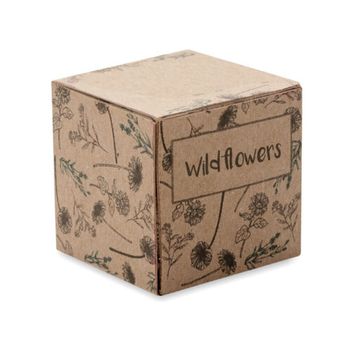 Kit de Culture de Graines - Fleurs Sauvages – vue 2