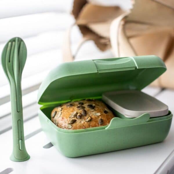 Lunchbox avec couvert et boite en matière organique bio-circulaire