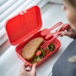 Lunchbox en matière organique bio-circulaire - Taille L