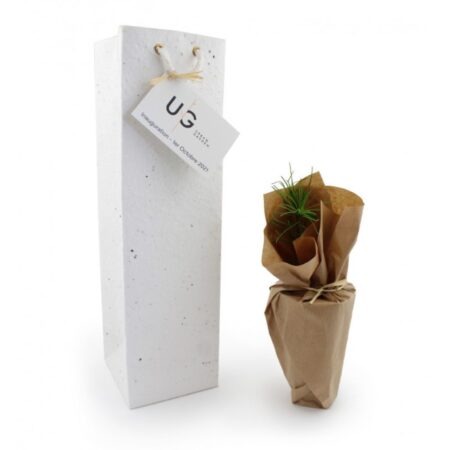 Plant d'arbre résineux à planter - avec carte personnalisée