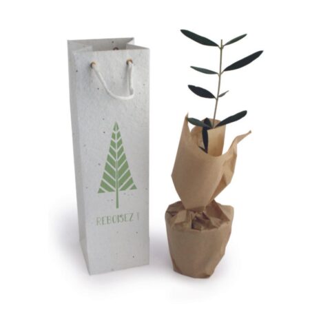 Plant d'Arbre feuillus à planter - avec carte personnalisée – vue 2