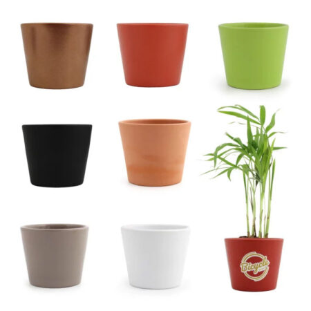 Mini Plante en pote céramique avec carte personnalisée incluse – vue 2