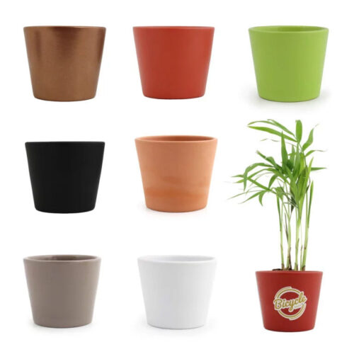Mini Plante en pote céramique avec carte personnalisée incluse – vue 2